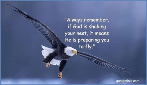 Heaven Quotes: Inspiring Words To Uplift Your Spirit